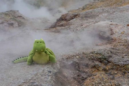 Roloc unterwegs in Island