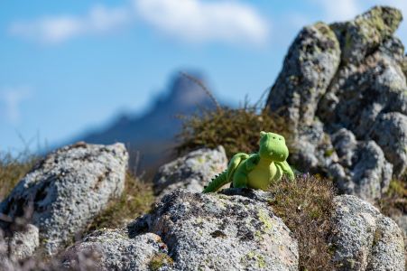 grüer Drache Roloc sitzt auf einem Berg in Sardinien