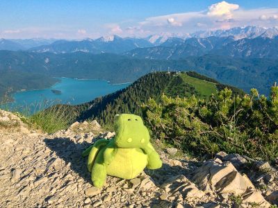 kleiner Drache Roloc vor einem Bergpanorama in Ruhpolding, in den Alpen