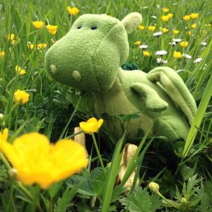 Roloc auf der Osterwiese