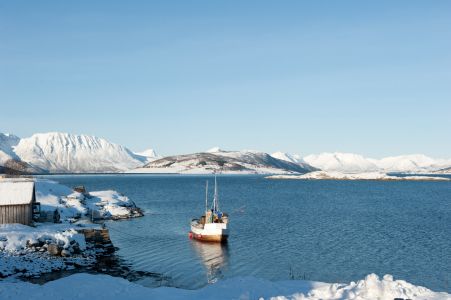 Winterreise mit Hurtigruten